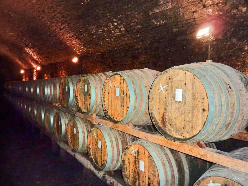 Wine Tasting in Tuscany | bikeinflorence.com