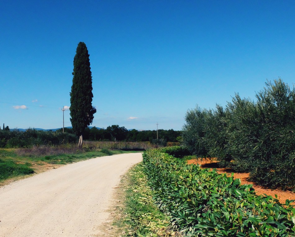 Pedalling up hill made easy with e bike assist pedalling :: BIke Florence & Tuscany with Piero and Elena