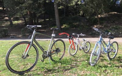 Q & A  Biking in Tuscany: 7 Answers