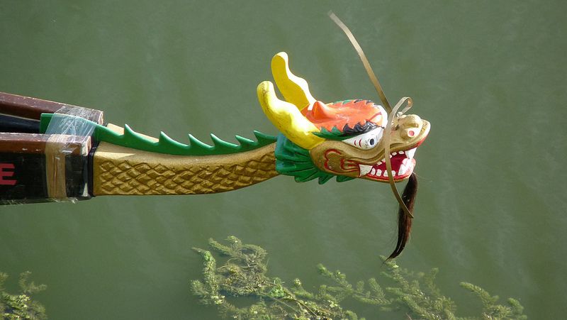 dragon boat Florence festival | bikeinflorence.com