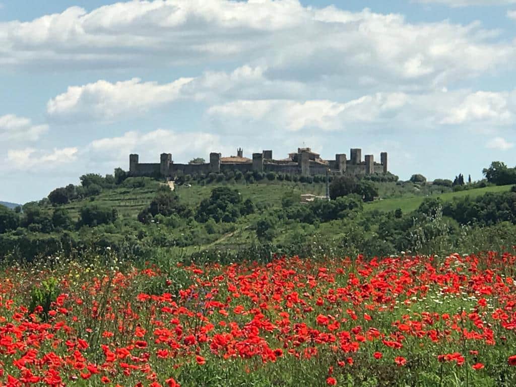 Weather in Tuscany: Poppy fields in Spring