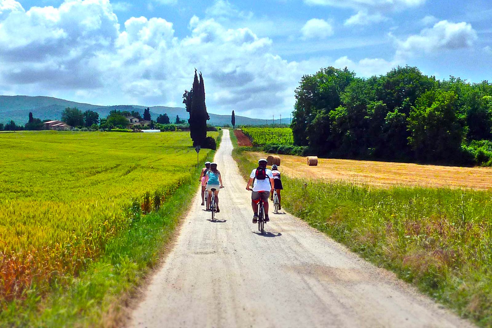 San Gimignano to Siena bike tour | bikeinflorence.com