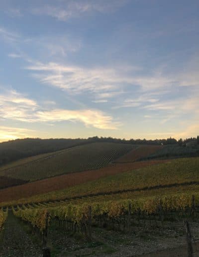 Vertine - Villa di Sotto