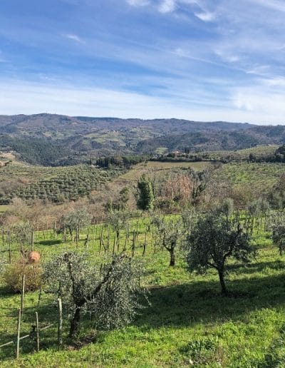 Panzano in Chianti - Villa di Sotto